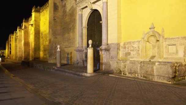 Wielki Meczet-Katedra Cordoba, znany również Mezquita (architektury mauretańskiej), którego nazwa kościelnych jest Katedra Matki Bożej Wniebowzięcia jest katolicka Katedra diecezji w Andaluzja — Wideo stockowe