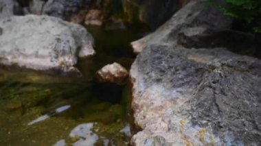 Paklenica karstik nehir kanyonun Hırvatistan milli parktır. Starigrad, Zadar yakınındaki Velebit dağının Güney yamaçlarında, Kuzey Dalmaçya yer almaktadır. Mala ve Velika Paklenica.