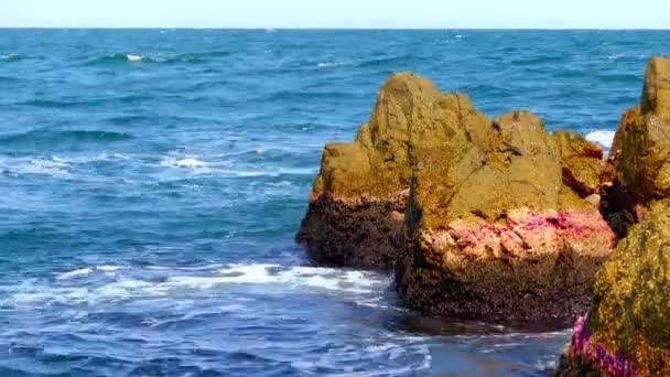 Süzebolu yakınındaki Bulgar Karadeniz sahilinde kayaların üzerinde kırma dalgalar. — Stok video