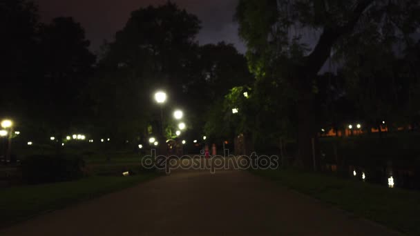 Due belle ragazze passeggiano vicino alla collina Bastion (Bastejkalns) è un'antica collina alla rinfusa, situata nel centro di Riga, Lettonia, di fronte alla Torre delle Polveri . — Video Stock