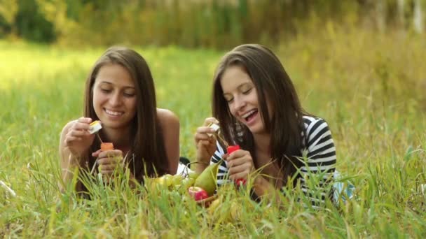 Two beautiful young women lie on green grass and inflate soap bubbles. — Stock Video