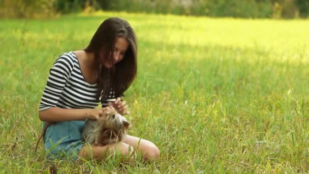 Jonge mooie lachende vrouw met yorkshire terriër, tegen groen van zomer park. — Stockvideo