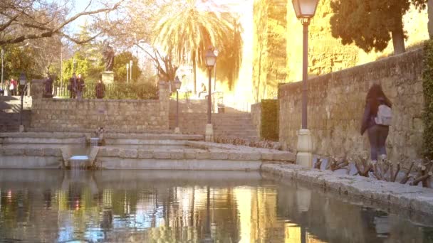 Naast Almodovar Gate is er een bronzen sculptuur gewijd aan filosoof van Cordoba Lucio Anneo Seneca, gemaakt door beeldhouwer Amadeo Ruiz Olmos. Córdoba, Spanje. — Stockvideo