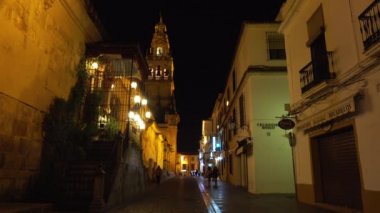 Kule ve çan kulesi, büyük Camii-katedral Cordoba da Cathedral of Our Lady of varsayım Andalusia, İspanya dini adı olan Endülüs (Mağribi mimarisi), bilinen,