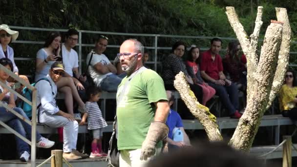 PORTO, PORTOGALLO - 22 APRILE 2017: Introduzione di un trainer con uccelli nello Zoo Santo Inacio in Portogallo . — Video Stock