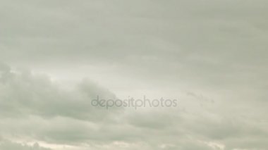 Defne at grazes village yakınındaki sulu çim ile yaz mera üzerinde.