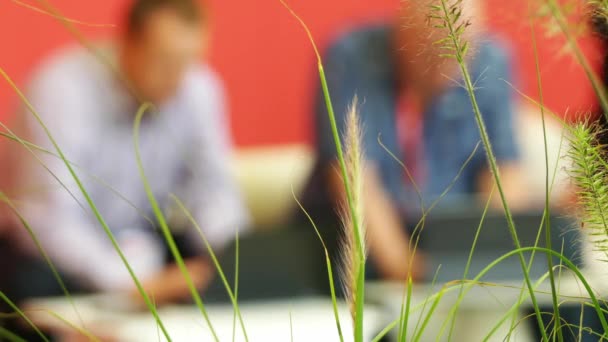 Planten in een kantoor met veel mensen wandelen langs de corridor. — Stockvideo