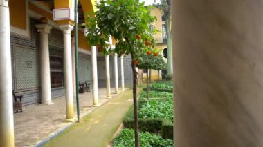 Sevilla, İspanya, daimi ikamet Medinaceli Dukes, Rönesans İtalyan ve Mudéjar stilleri, prototip Endülüs Sarayı'nın Endülüs sarayda La Casa de Pilatos (Pilate ev) olduğunu.