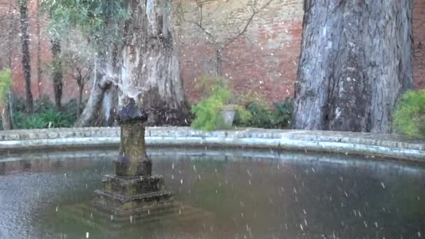 Tuinen van het Alcazar. Alcázar van Sevilla is Koninklijk Paleis in Sevilla, Andalusie, Spanje, oorspronkelijk ontwikkeld door Moorse moslim koningen. — Stockvideo