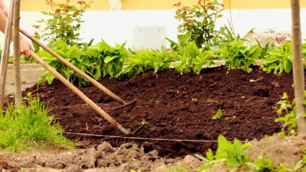 Садовники выкапывают почву лопатами возле городской администрации . — стоковое видео