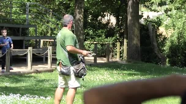 Porto, Portugal - April 22 2017: Införandet av en tränare med fåglar i Zoo Santo Inácio i Portugal. — Stockvideo