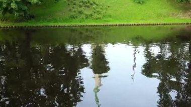 Riga, Letonya Letonya Bağımsızlık Savaşı sırasında ölen askerlerin onurlandıran, bulunan anıt özgürlük abidesi.