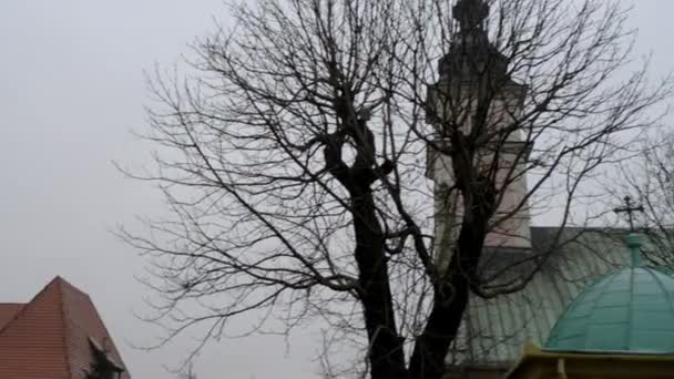 Igreja dos Santos. Clemente do Papa e Mártir em Wieliczka, Polônia - igreja paroquial (fara) Clemente, papa, terceiro sucessor de São Pedro e primeiro patrono dos mineiros . — Vídeo de Stock