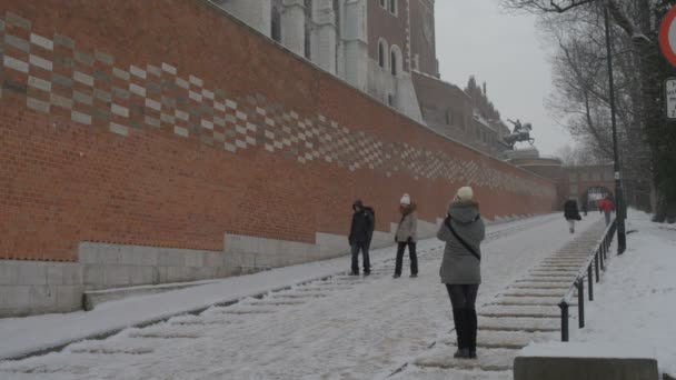 ヴァヴェルは、クラクフ、ポーランドのヴィスワ川の左岸に建てられた要塞建築物群です。ロイヤル キャッスルと聖スタニスワフの大聖堂とセント Waclaw ヴァヴェル城の大聖堂があります。). — ストック動画