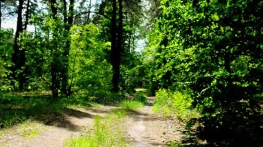 Küçük güzel kız nordic orman yolu üzerinde yürüme devreye girer.