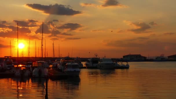 晚上在波尔，保加利亚的滨海港口。游艇和轮船的日落背景. — 图库视频影像