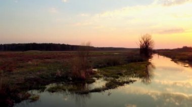 Gün batımında forest yakınındaki bataklık bölgede küçük nehir.
