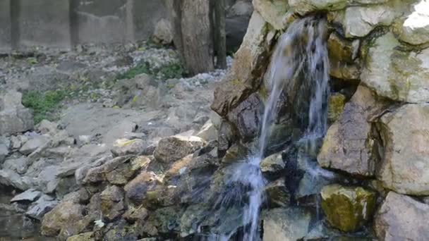 Trapsgewijze waterval fontein in zomer stadspark. — Stockvideo