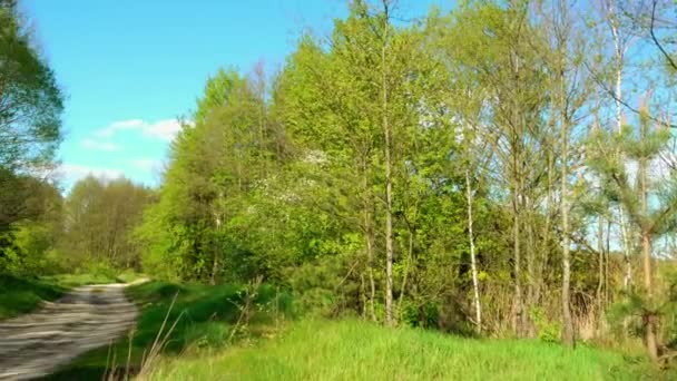 Piccolo trattore marrone sta guidando lungo la strada in campagna . — Video Stock