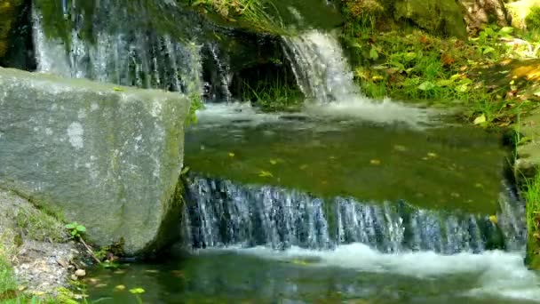 Small waterfall on mountain river in dense forest. — Stock Video
