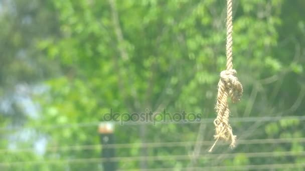 Thick rope swings in wind in summer city park. — Stock Video