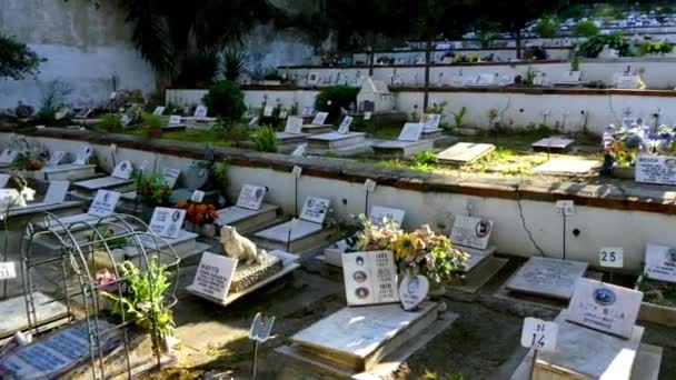 Νεκροταφείο των κατοικίδιων ζώων σε ζωολογικό κήπο της Λισαβόνας, Πορτογαλία. — Αρχείο Βίντεο