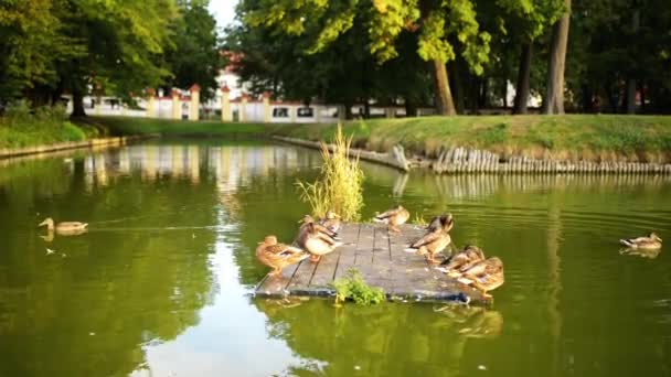 Crystal Palace is een historisch gebouw in Bialystok, Polen. Het werd ontwikkeld op de site van een eerdere gebouw in de eerste helft van de 18e eeuw door Jan Klemens Branicki. — Stockvideo