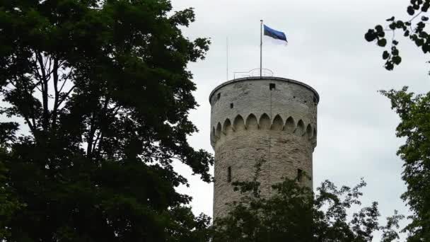 Pikk Hermann of Tall Hermann is toren van Toompea kasteel, op Toompea heuvel in Tallinn, de hoofdstad van Estland. Toren bestaat uit tien interne vloeren en uitkijkplatform bovenaan. — Stockvideo