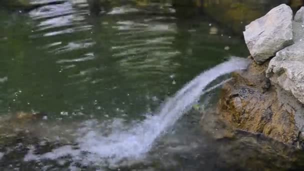 Small waterfall on mountain river in   forest. — Stock Video