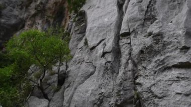 Paklenica karstik nehir kanyonun Hırvatistan milli parktır. Starigrad, Zadar yakınındaki Velebit dağının Güney yamaçlarında, Kuzey Dalmaçya yer almaktadır. Mala ve Velika Paklenica.