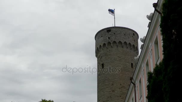 Pikk Hermann lub wysoki Hermann jest wieża Toompea Castle, na wzgórzu Toompea w Tallinie, stolicy Estonii. Wieża składa się z dziesięciu podłogi wewnętrzne i platformy widokowej na szczycie. — Wideo stockowe