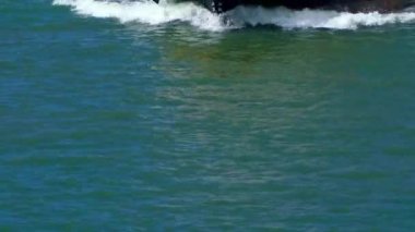 Sarı tekne turu. Lizbon, Portekiz çevresinde gezi turları.