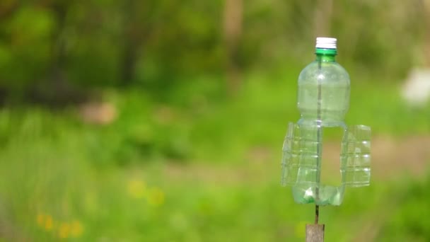 Plastflaska vänder i vind för att skrämma fåglar från skörd. — Stockvideo