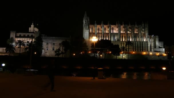 Catedral de Santa María de Palma, más comúnmente conocida como La Seu, es una catedral gótica católica ubicada en Palma, Mallorca, España, construida en el sitio de una mezquita árabe preexistente . — Vídeo de stock