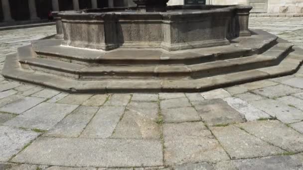 Cour archiépiscopale avec l'une des fontaines à Braga, Portugal . — Video