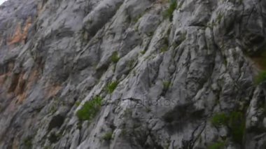 Paklenica karstik nehir kanyonun Hırvatistan milli parktır. Starigrad, Zadar yakınındaki Velebit dağının Güney yamaçlarında, Kuzey Dalmaçya yer almaktadır. Mala ve Velika Paklenica.