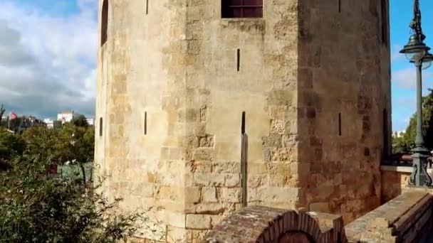 トーレ ・ デル ・ オロ (黄金の塔) は、セビリア, アンダルシア州, スペインのフェイゾン軍事ものみの塔です。それはグアダルキビル川経由でセビリアへのアクセスを制御するためにムワッヒド朝によって建立されました。. — ストック動画