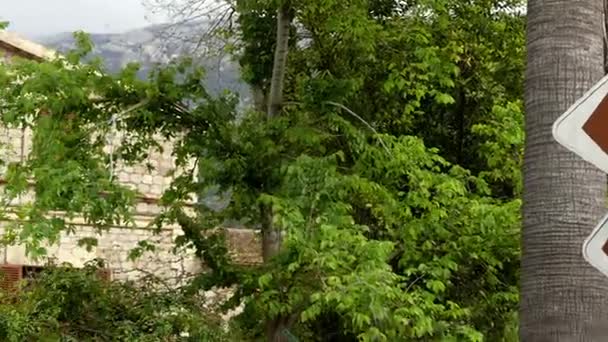 Soller botaniska trädgården på katalanska ligger i staden Soller, beläget i nordvästra delen av ön Mallorca, i Balearerna, Spanien. — Stockvideo