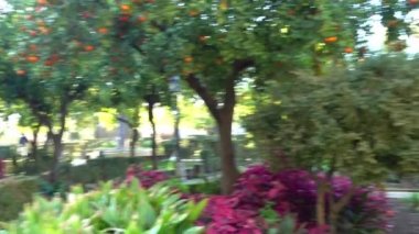 Alcazar de los Reyes Cristianos (Hıristiyan hükümdarlar Kalesi) Cordoba, Endülüs, İspanya. Isabella birincil konutlar biri olarak ben Kastilya ve Aragon Ferdinand II hizmet kale.