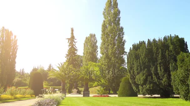 Berliński Ogród botaniczny i Muzeum jest ogród botaniczny w niemiecki kapitał miasta Berlin. Ogród położony jest w miejscowości Lichterfelde dzielnica Steglitz-Zehlendorf. — Wideo stockowe