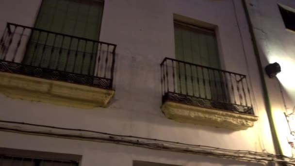 Monument till ärkeängeln Raphael på Plaza del Potro, är torg i spanska staden i Cordoba. — Stockvideo