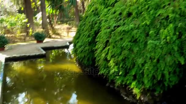 Jardines del Alcázar. Alcázar de Sevilla es un palacio real en Sevilla, Andalucía, España, originalmente desarrollado por reyes musulmanes moriscos. . — Vídeos de Stock