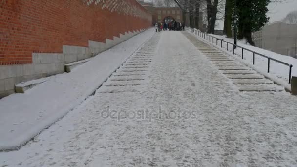 Wawel jest ufortyfikowany kompleks architektoniczny wzniesiony na lewym brzegu Wisły w Krakowie, Polska. Tam jest Zamek Królewski i Katedra Wawelska, (który jest Bazylika St Stanisława i St Waclaw). — Wideo stockowe