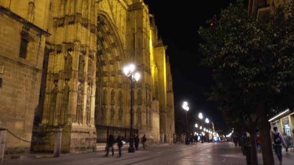 Katedralen Santa Maria del se, bättre känd som katedralen i Sevilla, är romersk-katolska katedralen i Sevilla (Andalusien, Spanien). Det var registrerat 1987 av Unesco som ett världsarv. — Stockvideo