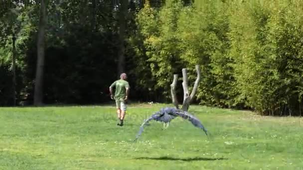 PORTO, PORTUGAL - 22 AVRIL 2017 : Introduction d'un entraîneur avec des oiseaux au Zoo Santo Inacio au Portugal . — Video