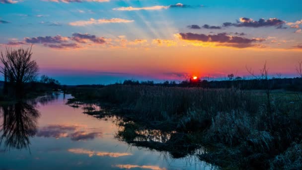 Timelapse: Vacker solnedgång mot lugn flod på sommarkväll. — Stockvideo