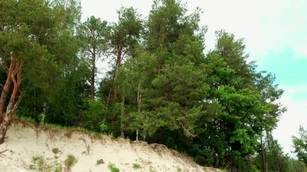 Dunas de areia perto do lago na planície média europeia — Vídeo de Stock