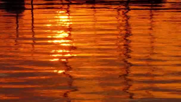 Reflection of setting sun in water in Marina with boats — Stock Video