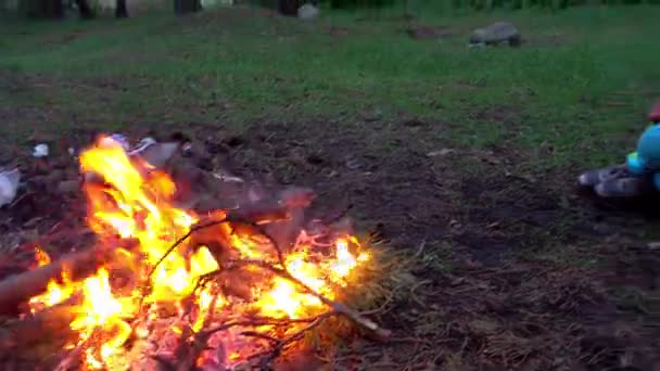 Две маленькие красивые девочки сидят у огня в вечернем лесу . — стоковое видео