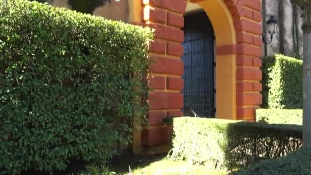 Alcazar-trädgårdarna. Alcazar Sevilla är kungliga slotten i Sevilla, Andalusien, Spanien, ursprungligen utvecklat av moriska muslimska kungar. — Stockvideo